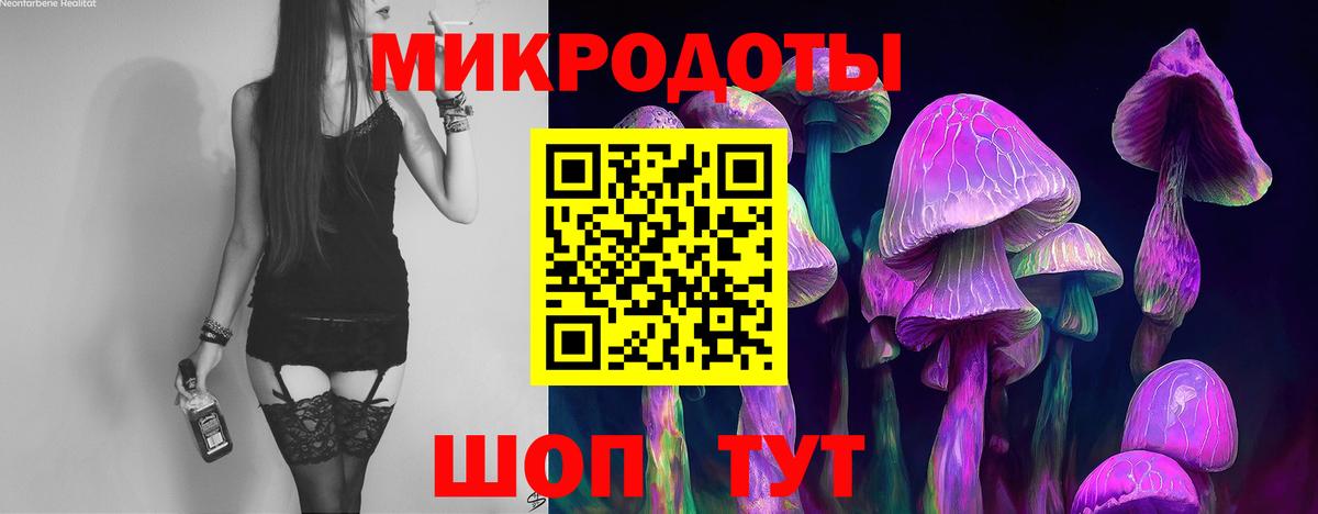 Псилоцибиновые грибы MAGIC MUSHROOMS  Вход с VPN  Нижний Тагил 